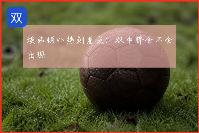埃弗顿vs热刺看点：双中锋会不会出现